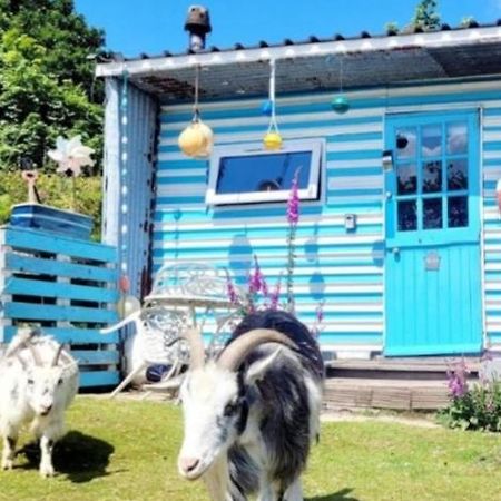Hotel Treguth Glamping Unique Experience - Themed Huts Saint Day Esterno foto