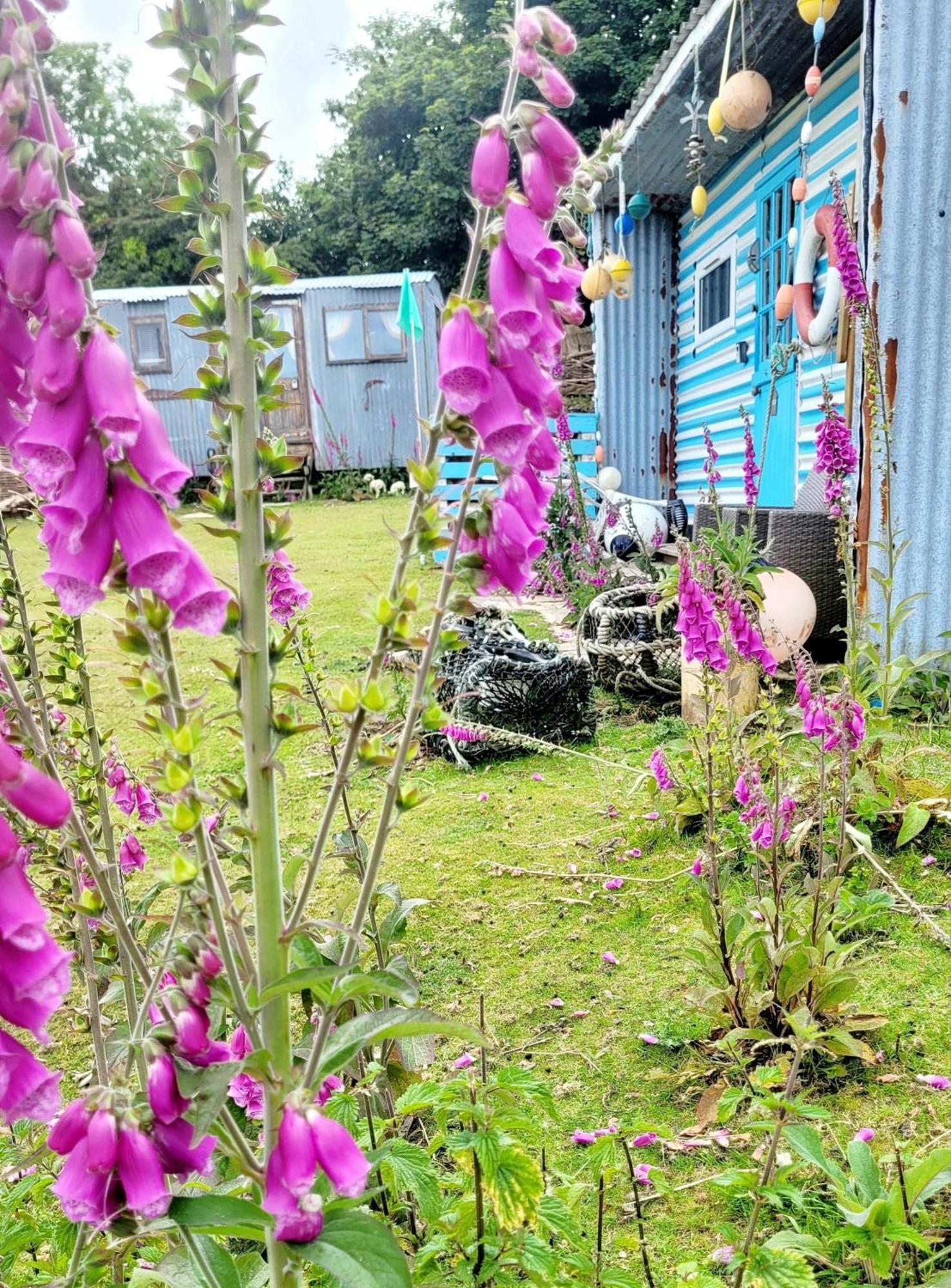 Hotel Treguth Glamping Unique Experience - Themed Huts Saint Day Esterno foto