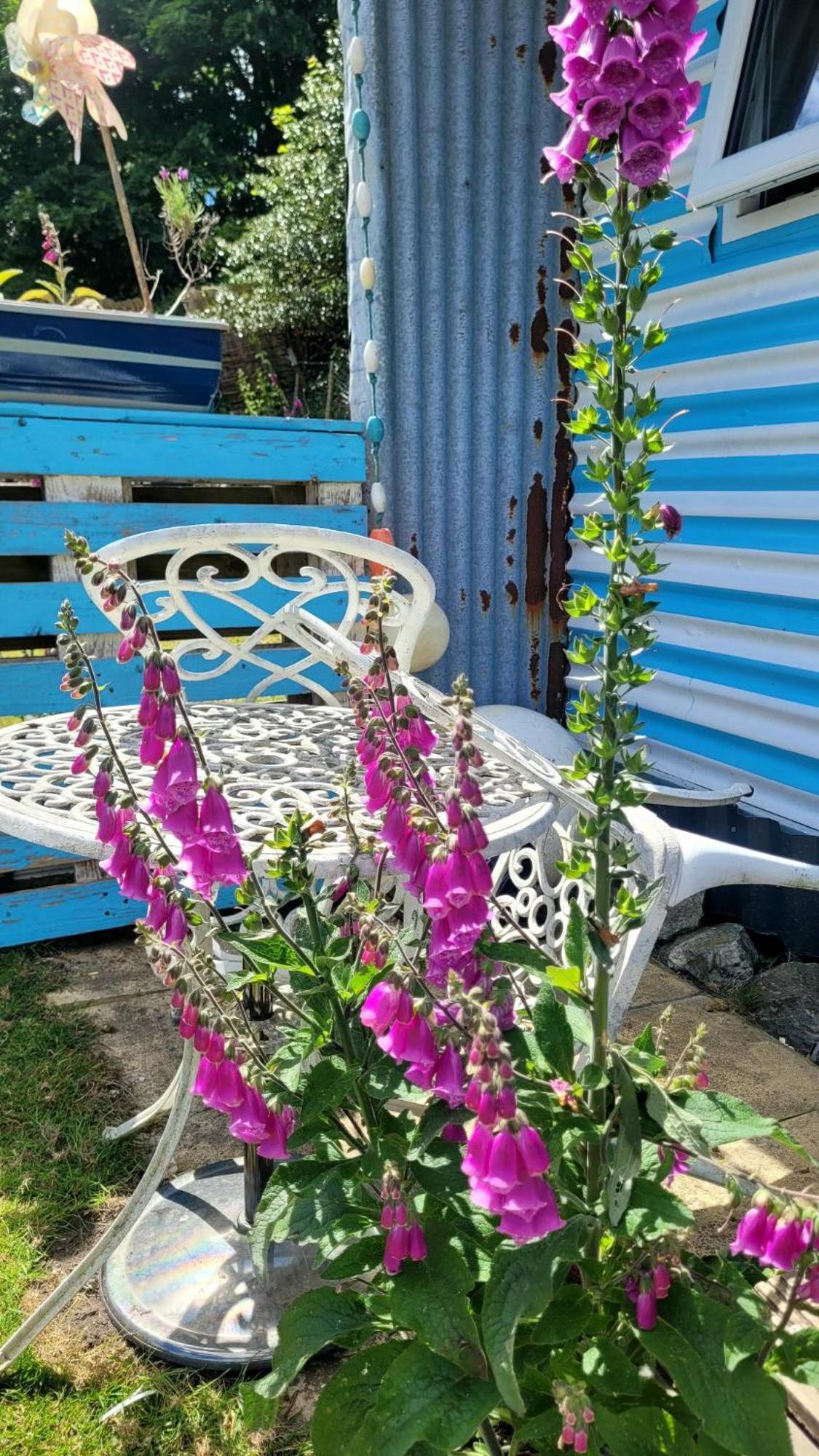 Hotel Treguth Glamping Unique Experience - Themed Huts Saint Day Esterno foto