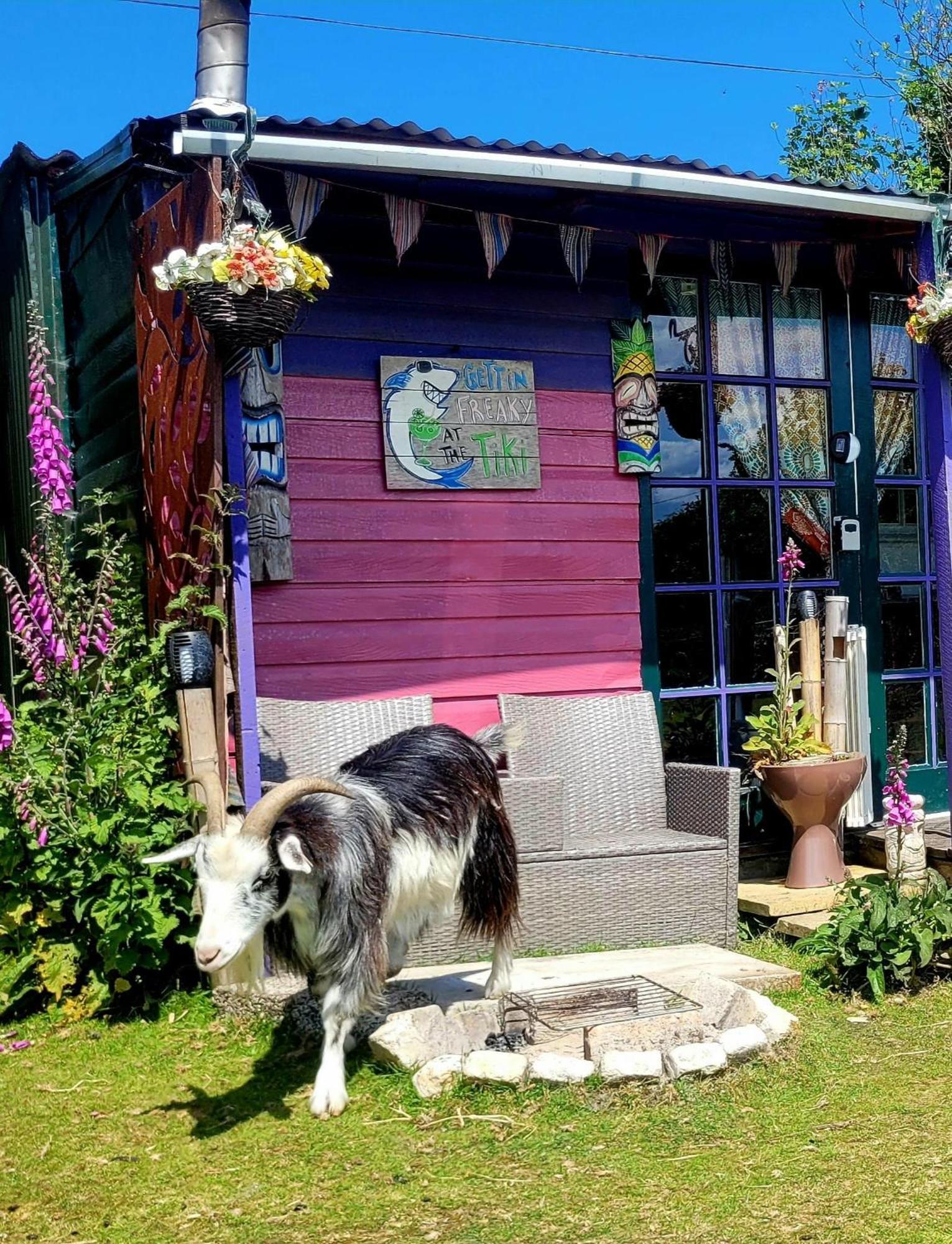 Hotel Treguth Glamping Unique Experience - Themed Huts Saint Day Esterno foto