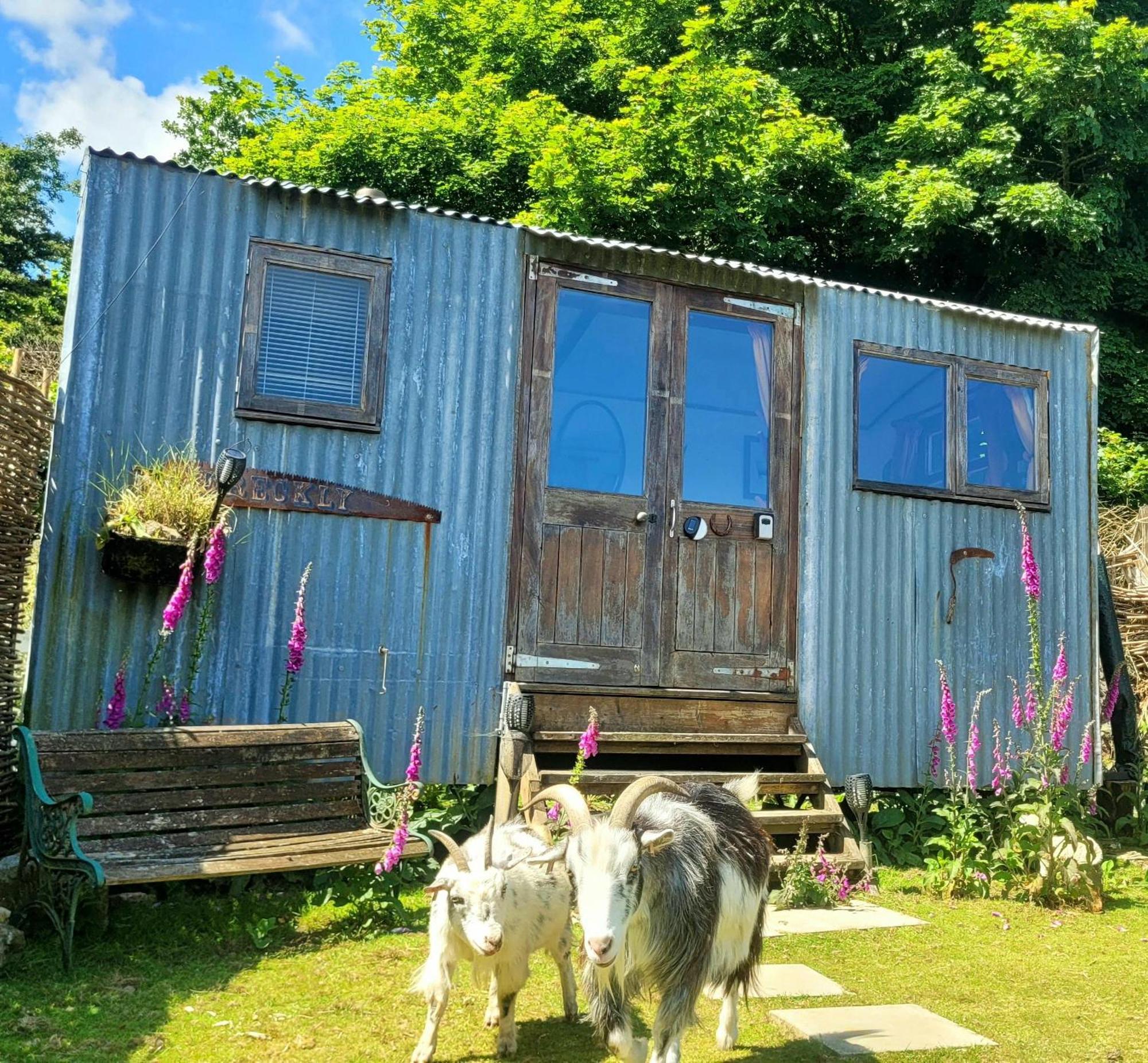 Hotel Treguth Glamping Unique Experience - Themed Huts Saint Day Esterno foto