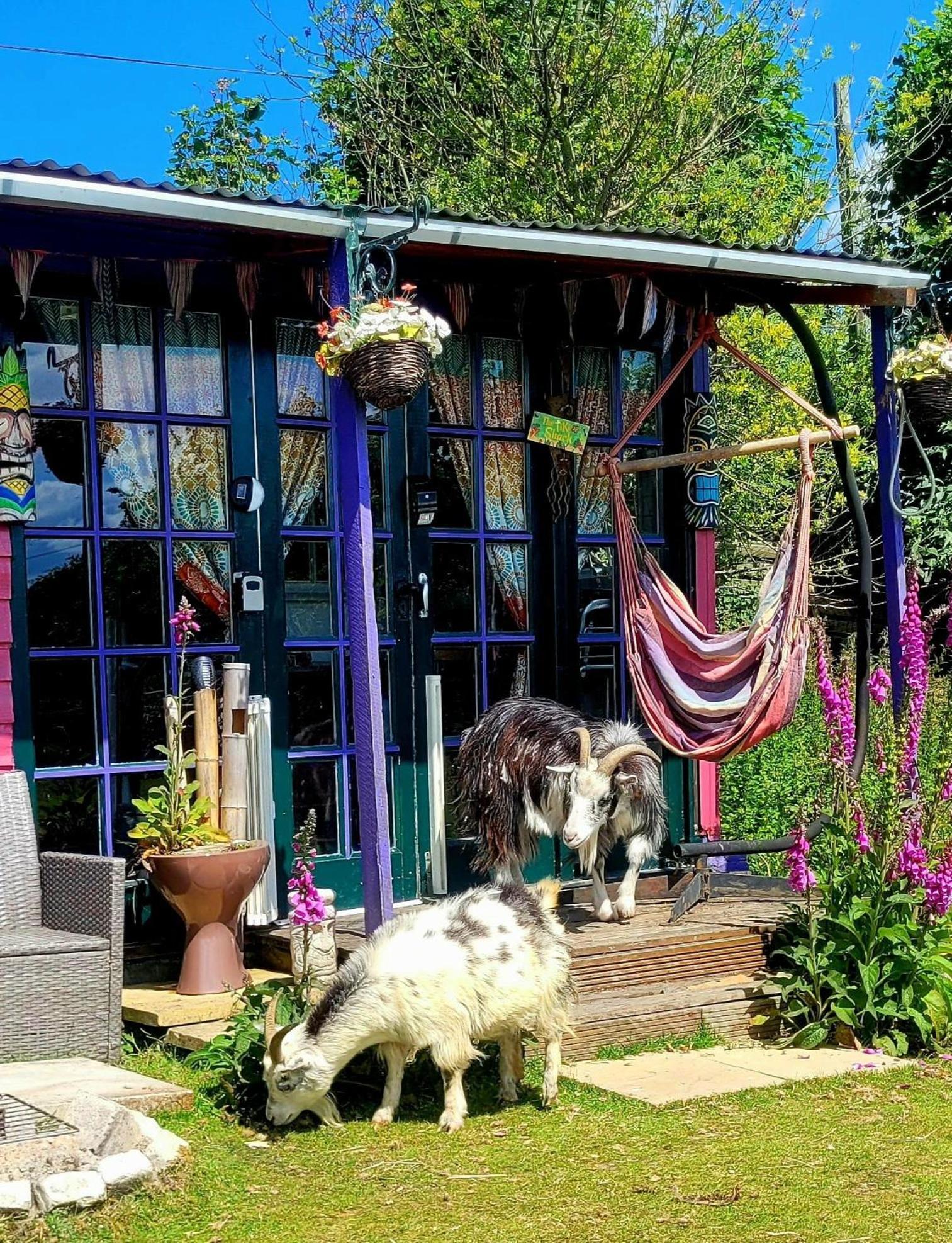 Hotel Treguth Glamping Unique Experience - Themed Huts Saint Day Esterno foto